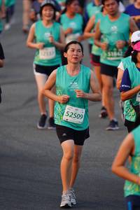 BIB: 1842, 52509
                            <button type="button" onclick="openModal(10515991)" class="btn btn-primary btn-sm float-right btn-popup" data-toggle="modal" data-target=".modal-high-quality">
                        <i class="fas fa-shopping-cart"></i> Add to Cart
                    </button>
                                            <button type="button" onclick="isThisMe(10515991, true)" class="btn btn-success btn-sm float-right btn-popup btn-isme hidden" data-toggle="tooltip" data-placement="bottom" title="นี่คือรูปของคุณใช่ไหม คลิกที่นี่เพื่อเอาเข้าอัลบั้ม">
                        <i class="fas fa-plus"></i> Add to album
                    </button>
                    <button type="button" onclick="isThisMe(10515991, false)" class="btn btn-warning btn-sm float-right btn-popup btn-isnotme hidden">
                        <i class="fas fa-ban"></i> Remove from album
                    </button>